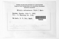 Image Associated With the Occurence